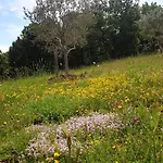 Valeria Διαμέρισμα Divšići
