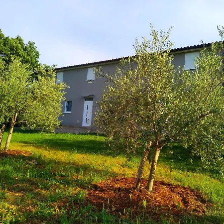 Apartment Valeria Divsici